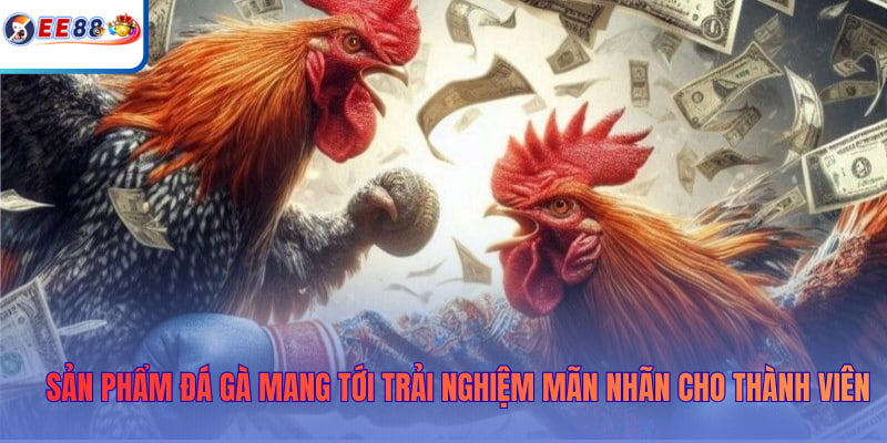 Sản phẩm Đá Gà mang tới trải nghiệm mãn nhãn cho thành viên